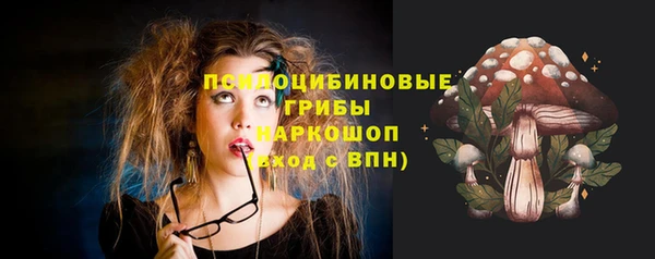 амфетамин Новодвинск