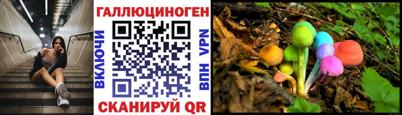 Псилоцибиновые грибы прущие грибы  Смоленск 