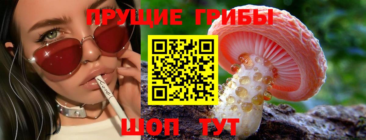Смоленск  Галлюциногенные грибы GOLDEN TEACHER  Вход с VPN 