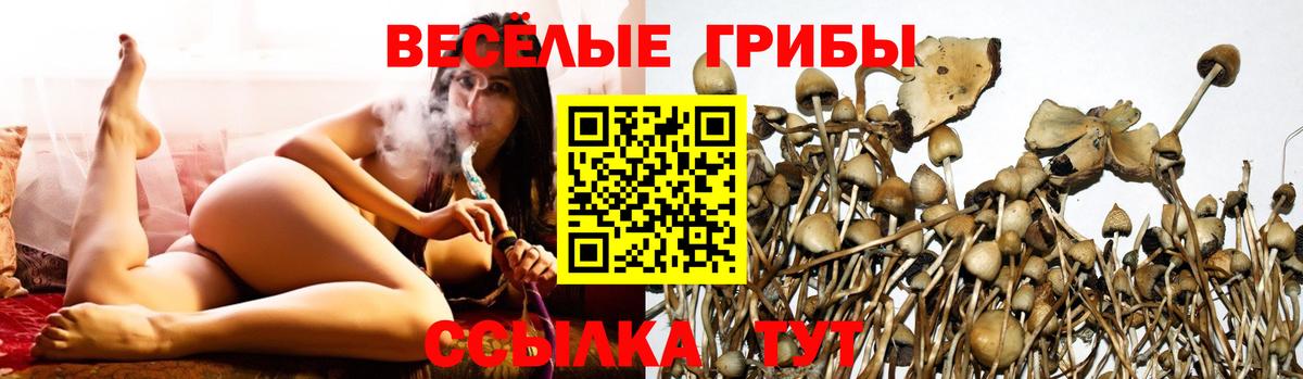 Каннабис  Вход с VPN  Смоленск  A PVP СОЛЬ   Меф   COCAIN 